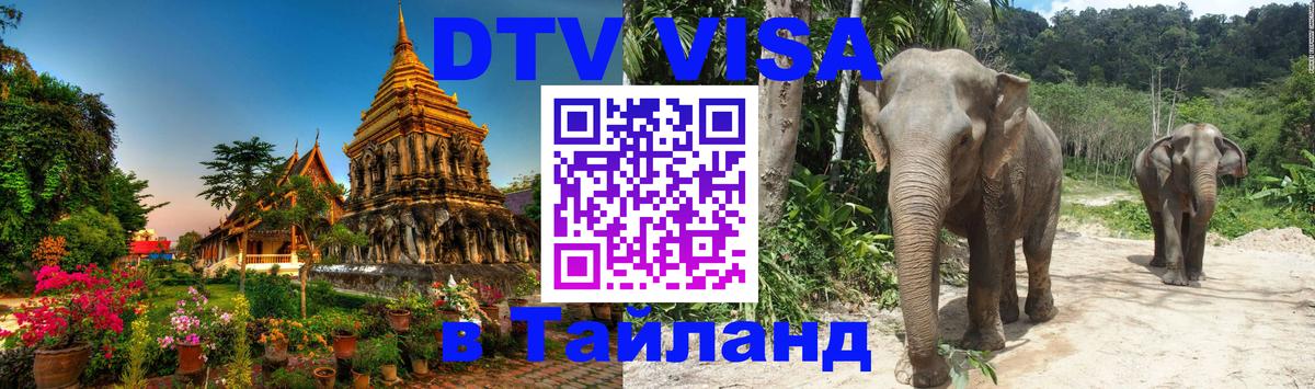 ДТВ VISA Тайланд для фрилансеров Димитровград 